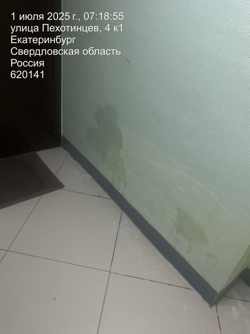 97ab8b01-9034-4810-8246-cdf2ff8fcb58.jpg