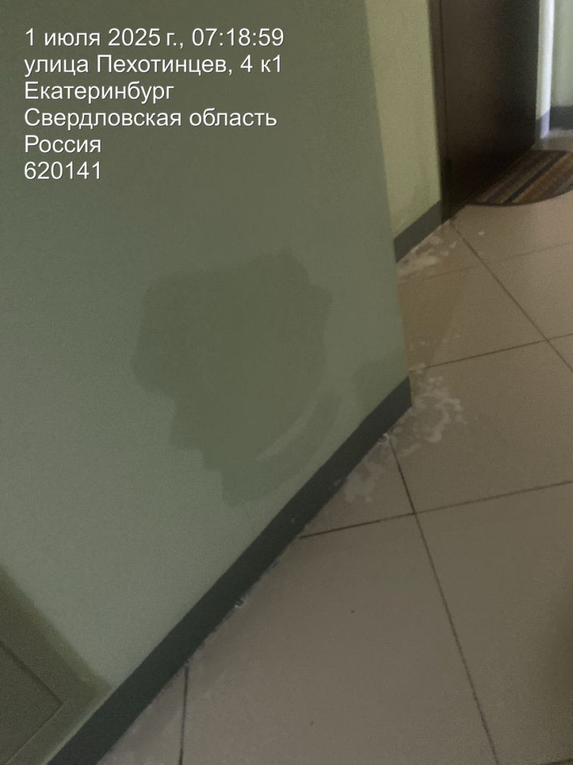 b66406ac-1827-44f9-b82d-51cf5411708f.jpg