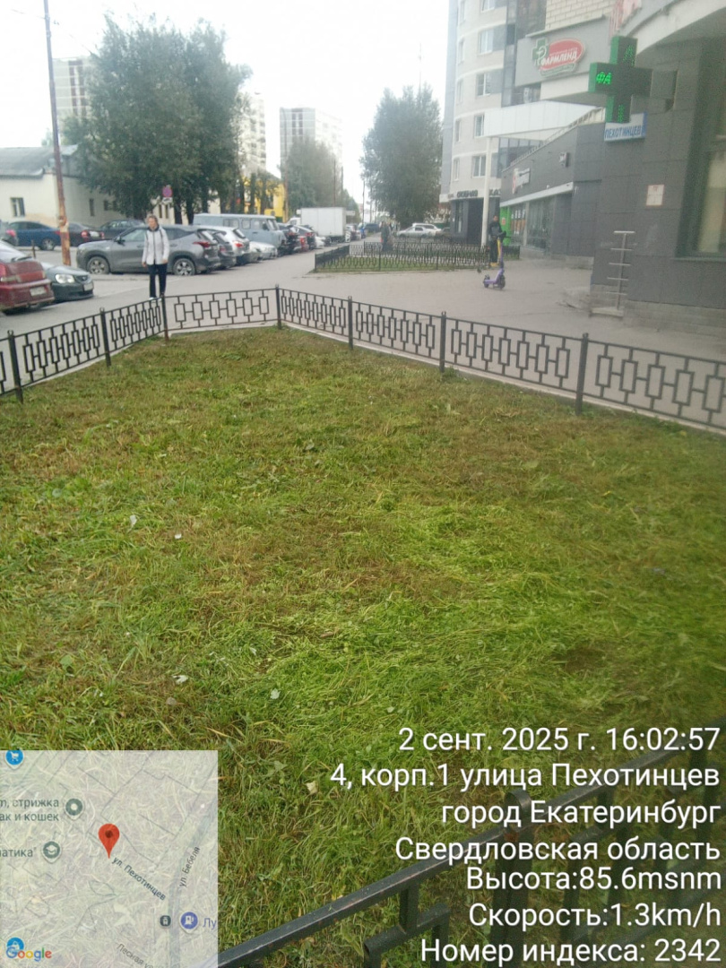 покос 1.jpeg